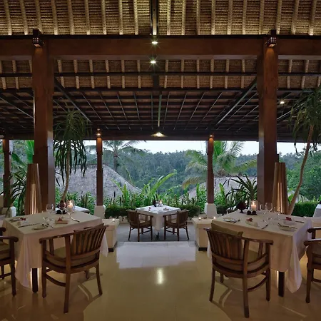 Nandini Jungle By Hanging Gardens-2